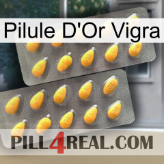 Vigra Gold Pill cialis2